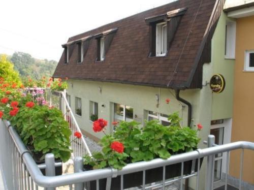 Pension Zlata Noha Bratislava Exterior photo
